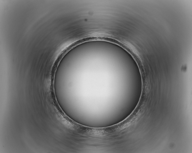 X0000091070831200708131151