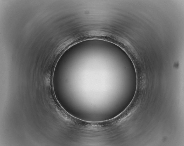 X0000091070833200708131151