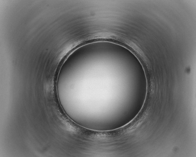X0000091070834200708131151