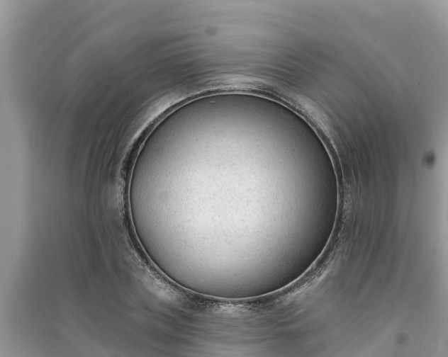 X0000091070835200708131151