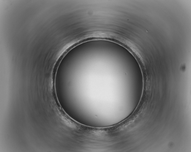 X0000091070837200708131151