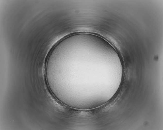 X0000091070839200708131151