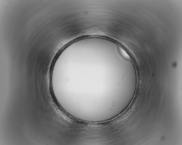 X0000091070840200708131151