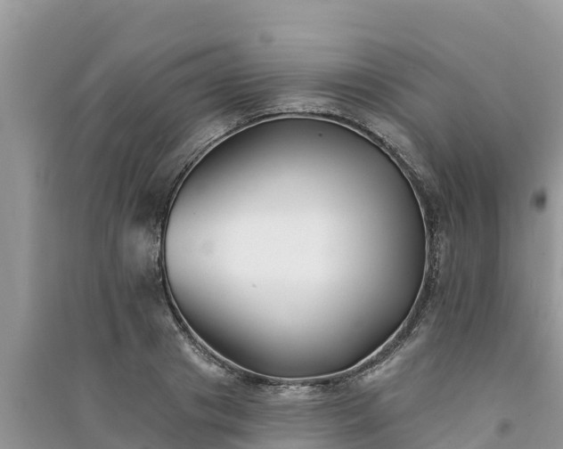 X0000091070841200708131151