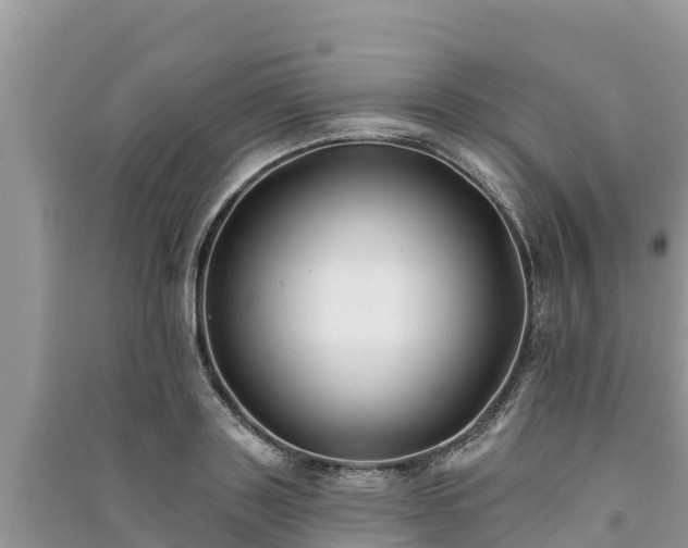 X0000091070843200708131151