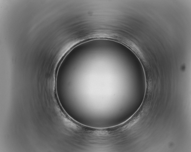 X0000091070844200708131151