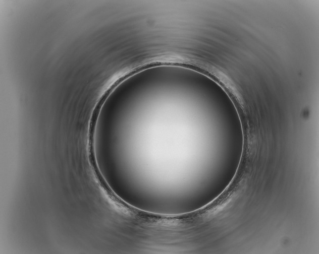 X0000091070845200708131151