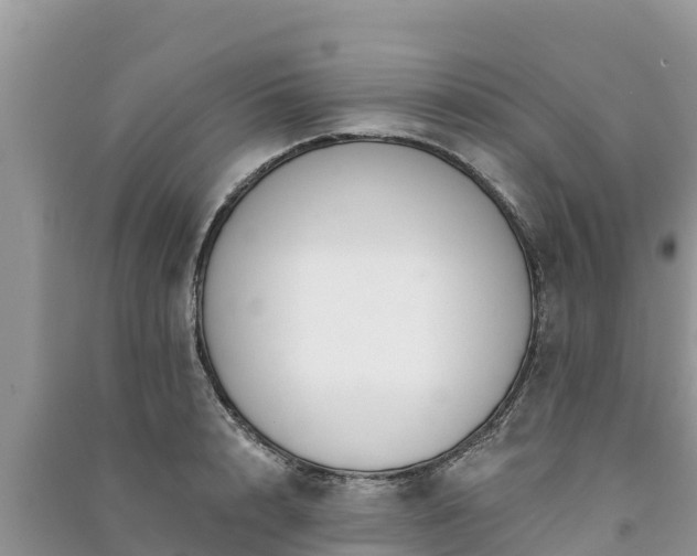 X0000091070848200708131151