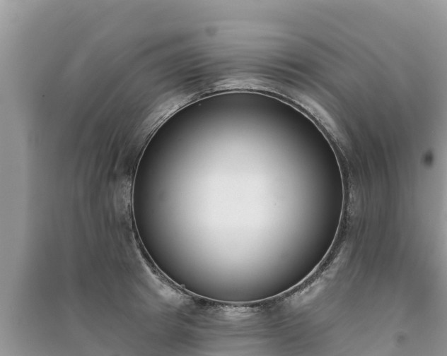 X0000091070849200708131151