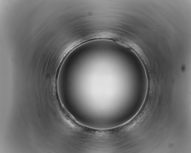 X0000091070850200708131151