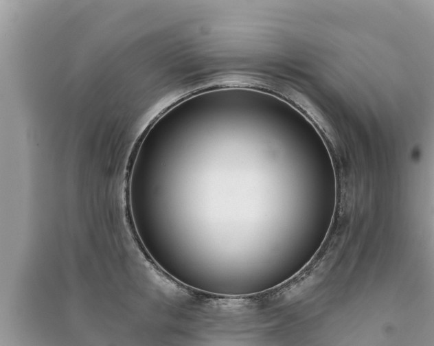X0000091070853200708131151