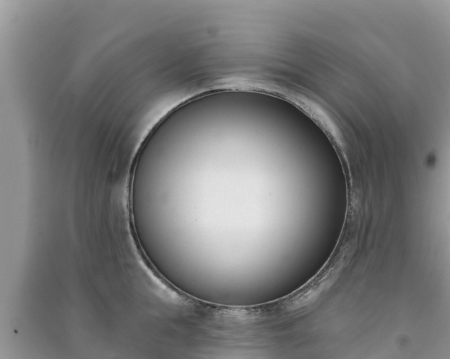 X0000091070855200708131151