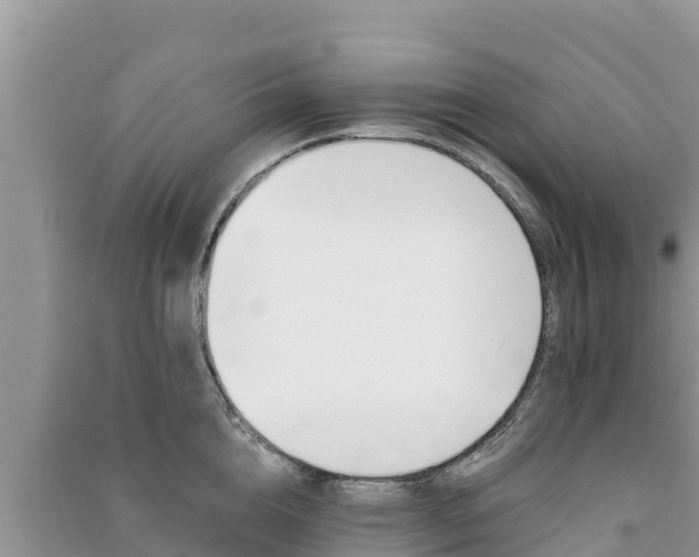 X0000091070856200708131151