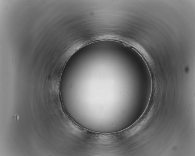 X0000091070857200708131151