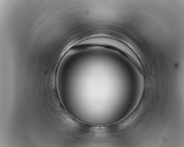X0000091070858200708131151