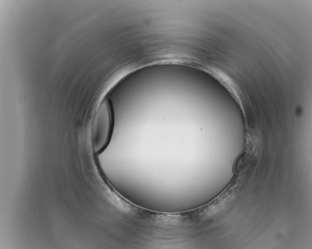 X0000091070859200708131151