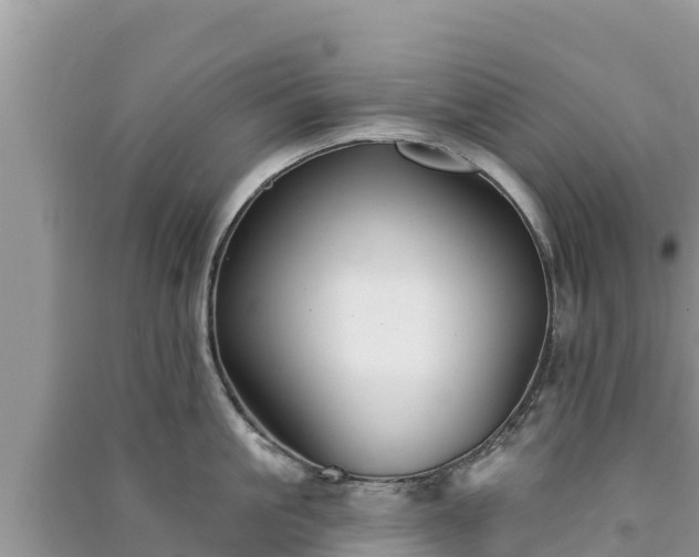 X0000091070861200708131151