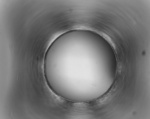 X0000091070863200708131151