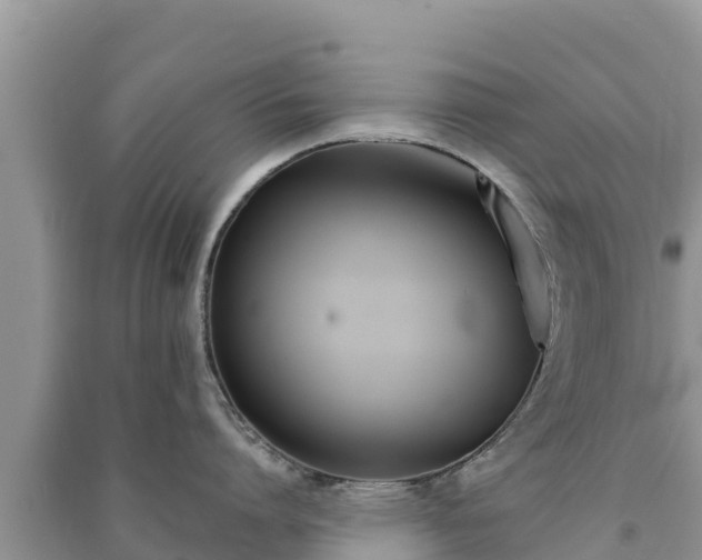 X0000091070864200708131151