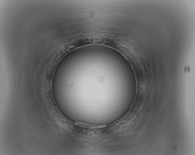 X0000091070865200708131150