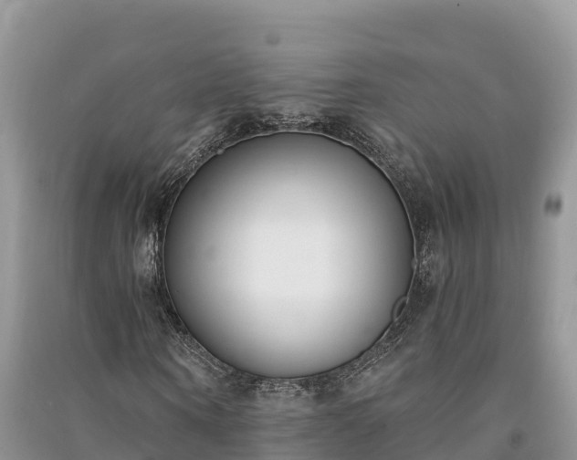 X0000091070866200708131150