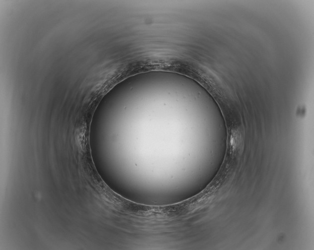X0000091070867200708131150