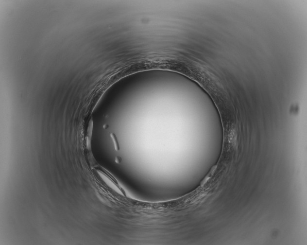 X0000091070868200708131150
