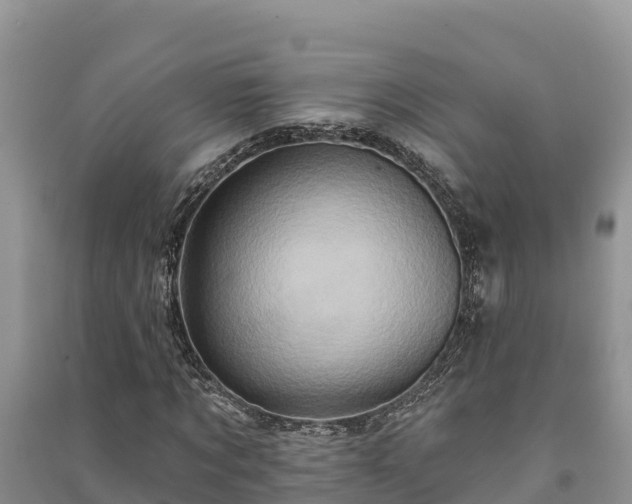 X0000091070869200708131150