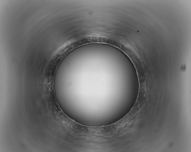 X0000091070870200708131150