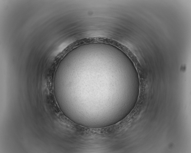 X0000091070871200708131150