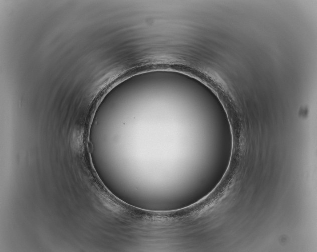 X0000091070873200708131150