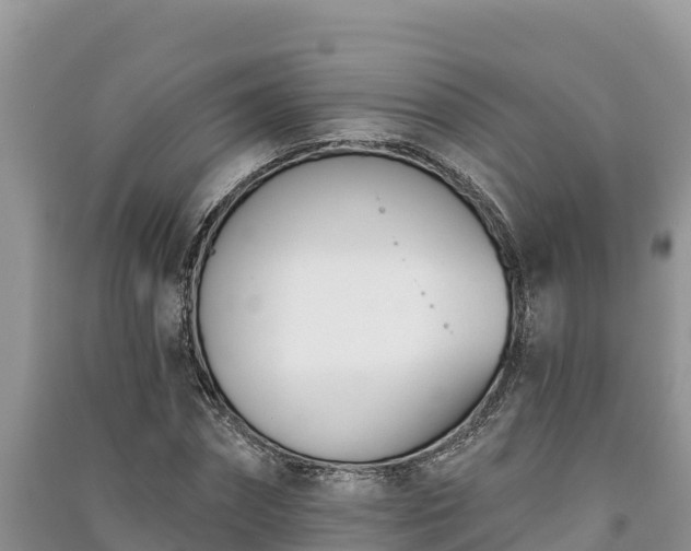 X0000091070874200708131150