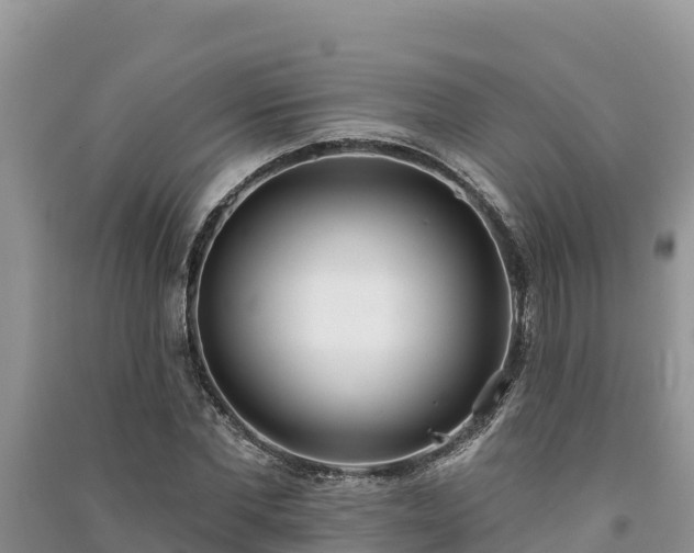 X0000091070877200708131150