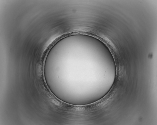 X0000091070878200708131150