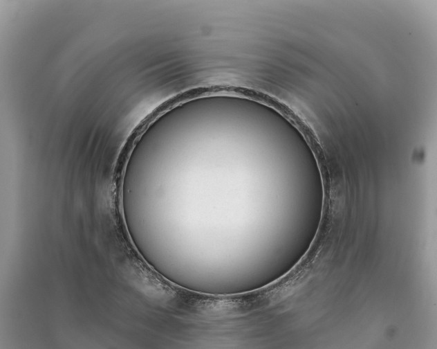 X0000091070879200708131150