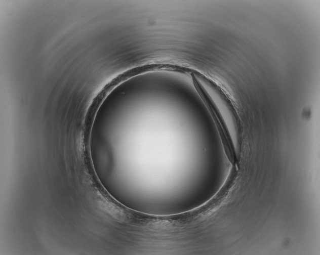 X0000091070880200708131150