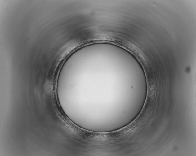 X0000091070882200708131150