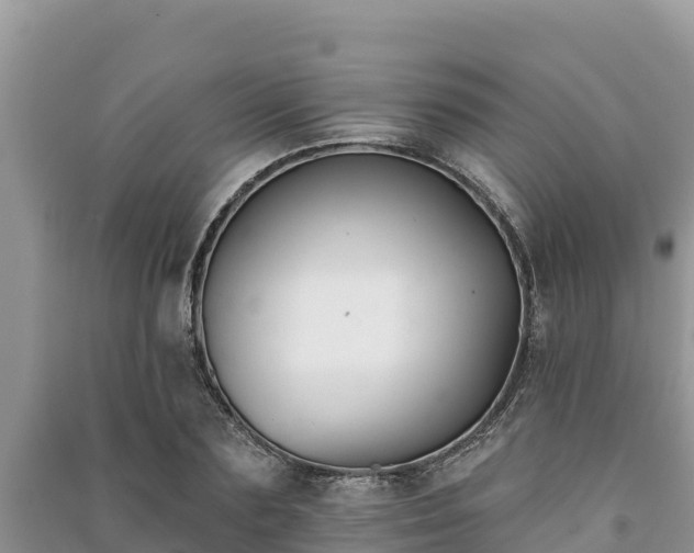 X0000091070883200708131150
