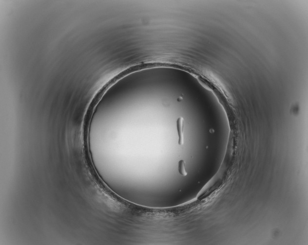 X0000091070884200708131150