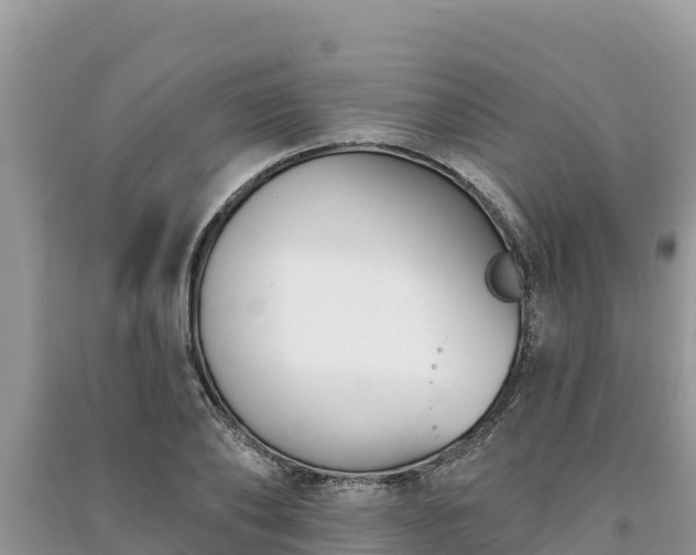 X0000091070886200708131150