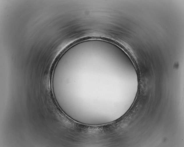 X0000091070887200708131150