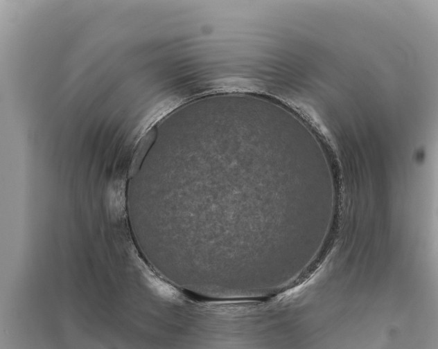 X0000091070889200708131150
