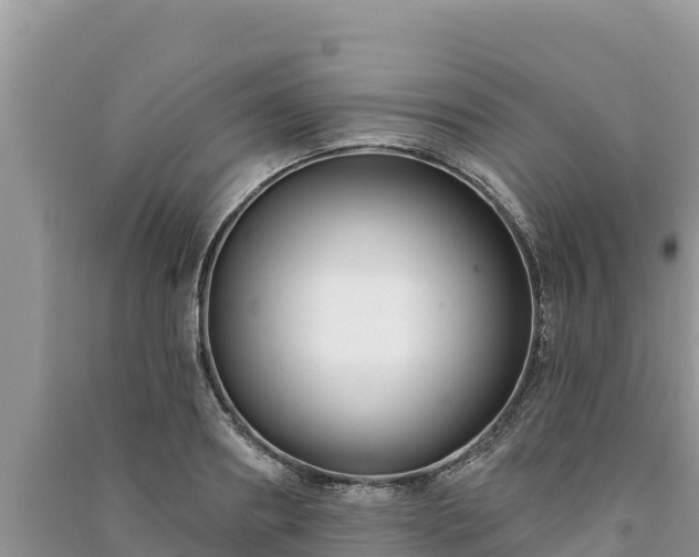 X0000091070890200708131150
