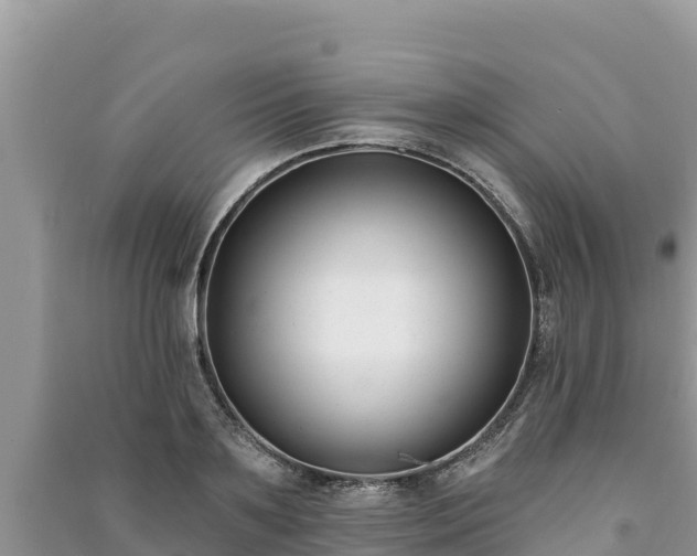 X0000091070891200708131150