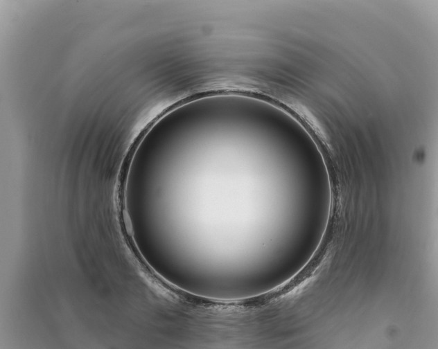 X0000091070893200708131150