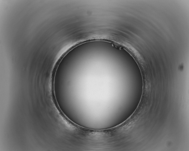 X0000091070894200708131150