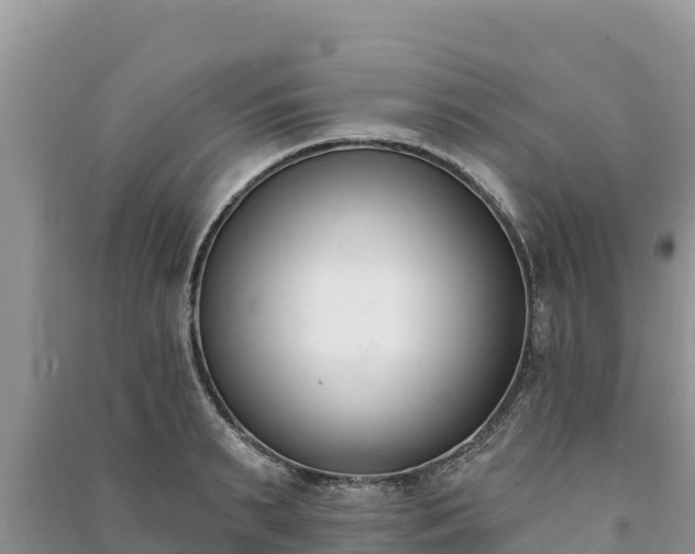 X0000091070895200708131150