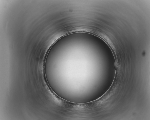 X0000091070898200708131150