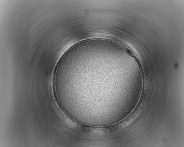 X0000091070899200708131150