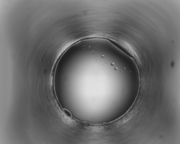X0000091070900200708131150